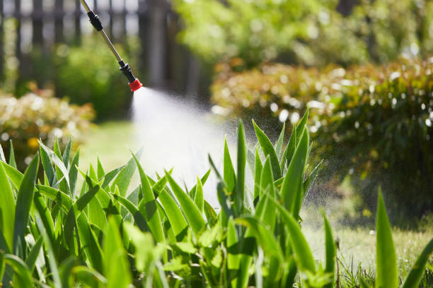 24/7 Emergency Mosquito Control experts in Lealman, FL
