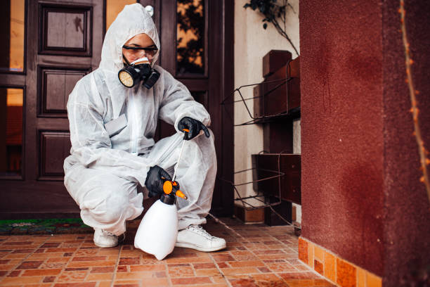 Reliable Mosquito Control contractor in Lealman, FL by Show Me Pest Control
